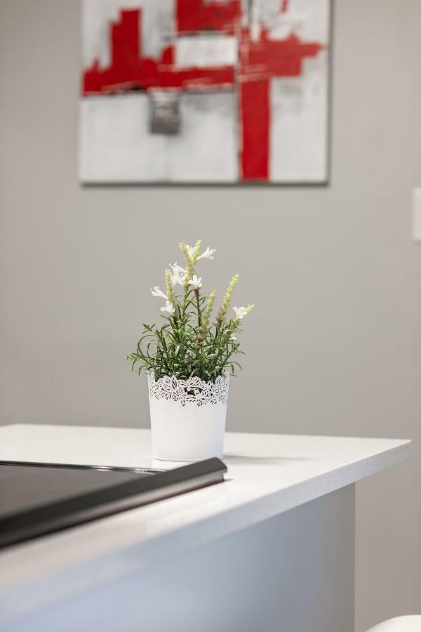 Entire 2 Bedroom Apartment Uptown Waterloo - E1 Exteriér fotografie